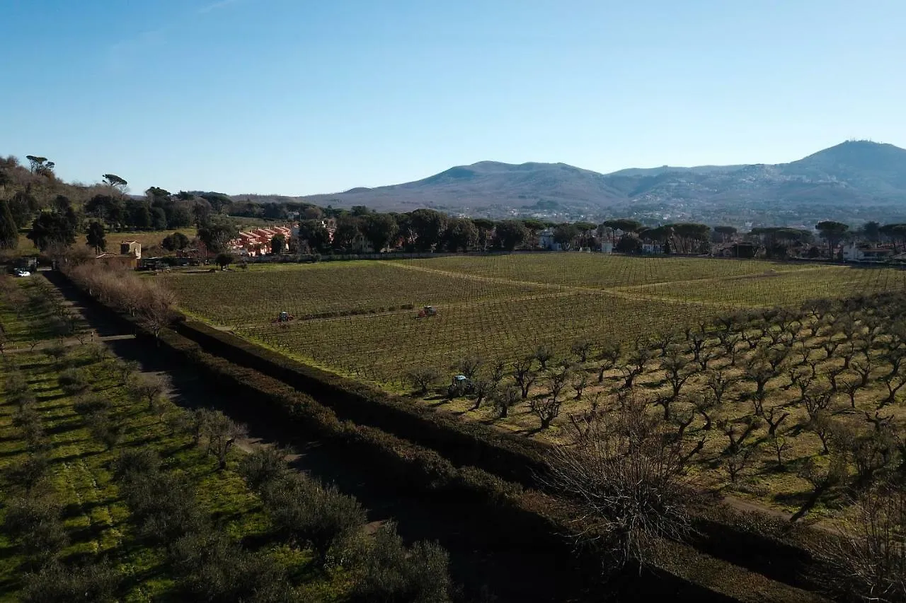 Villa Cavalletti Appartamenti Grottaferrata