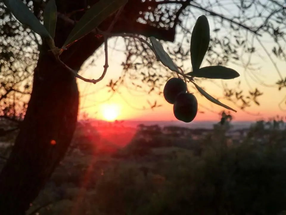 Aparthotel Villa Cavalletti Appartamenti Grottaferrata Italy