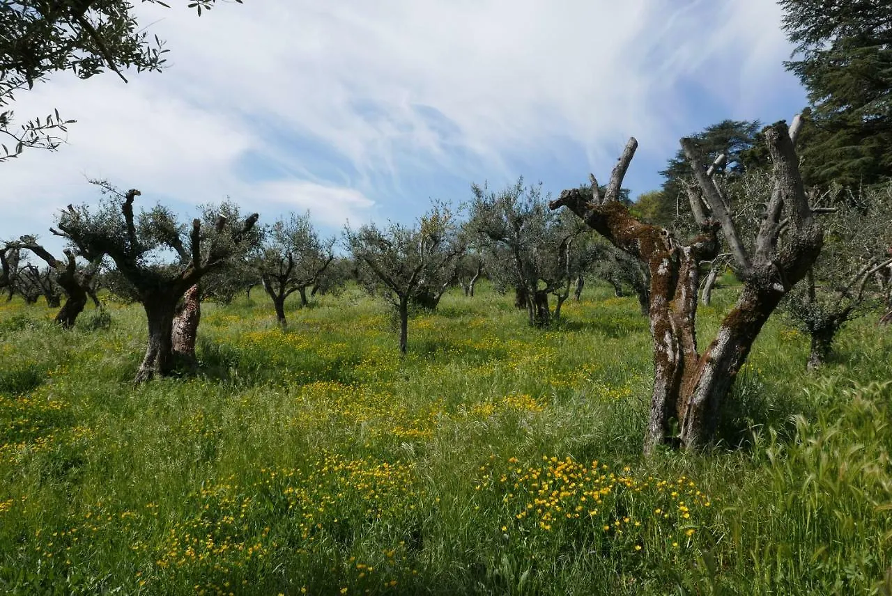 Villa Cavalletti Appartamenti Grottaferrata Aparthotel