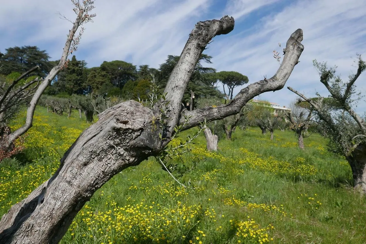 Villa Cavalletti Appartamenti Grottaferrata