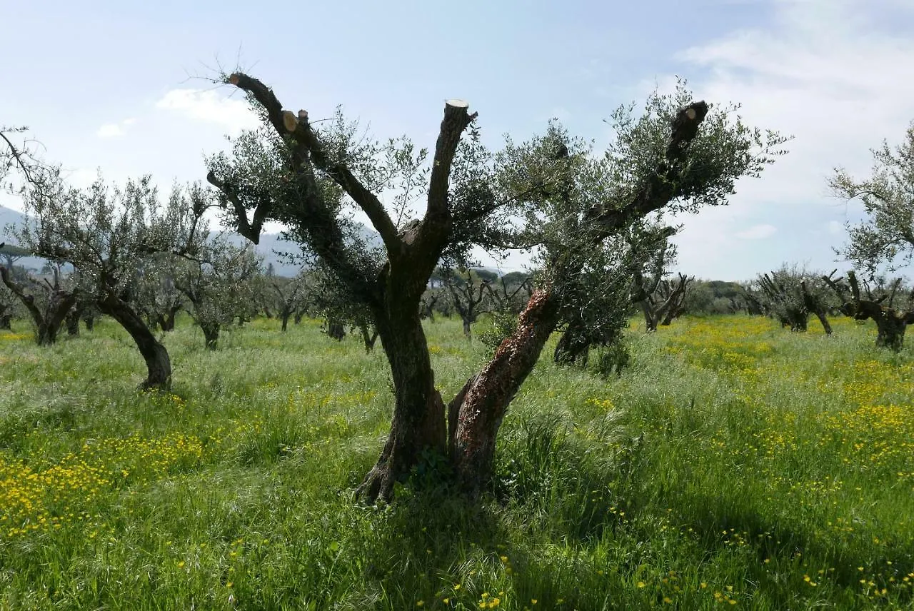 Villa Cavalletti Appartamenti Grottaferrata Italy