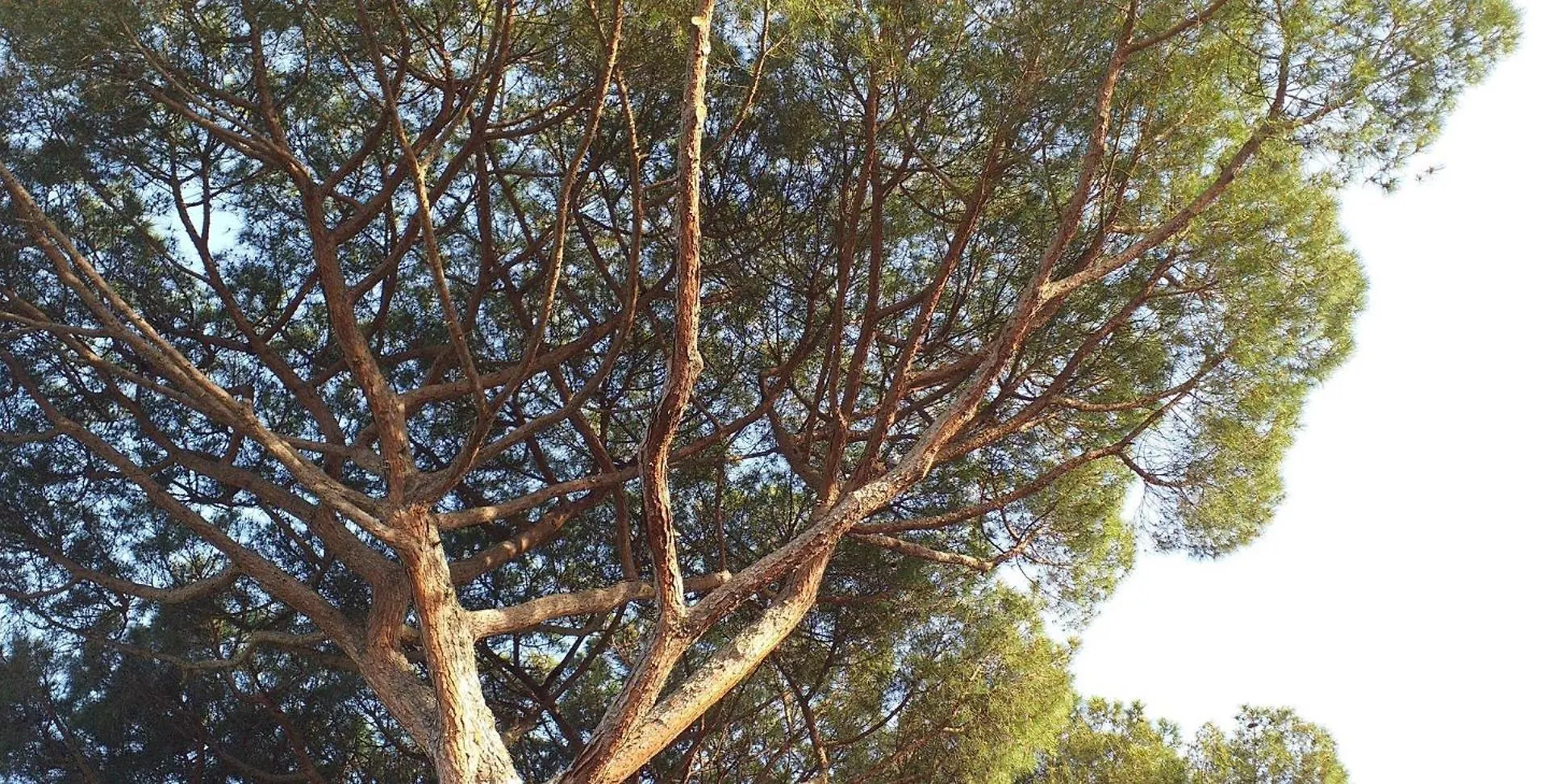 Villa Cavalletti Appartamenti Grottaferrata Aparthotel