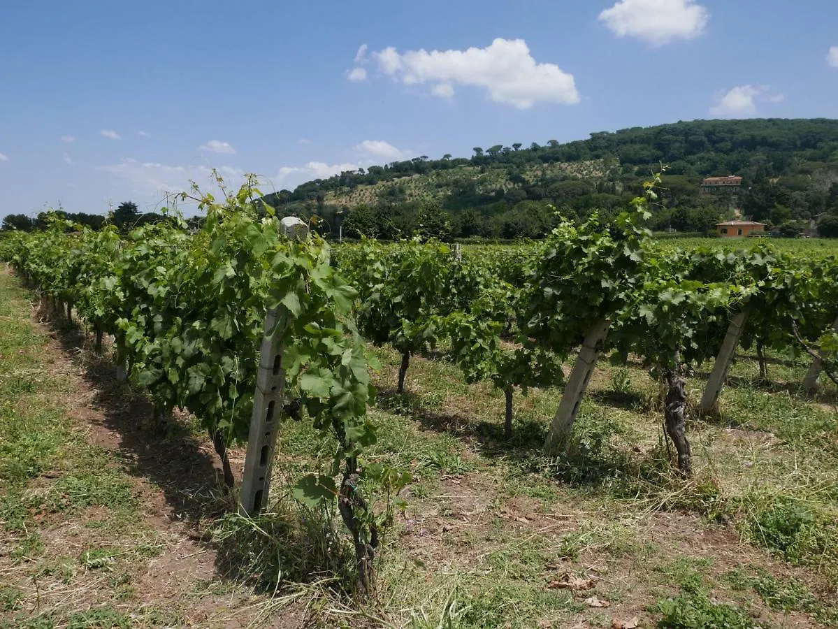 Villa Cavalletti Appartamenti Grottaferrata Aparthotel